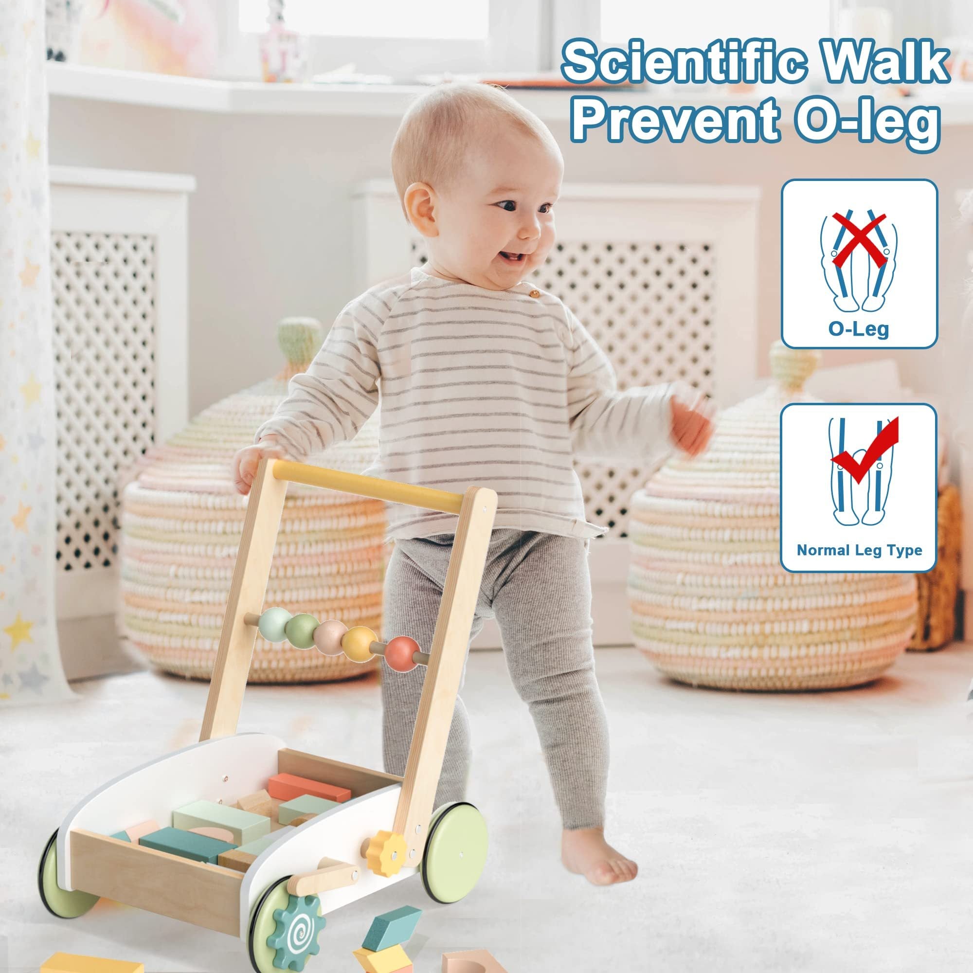 Push Along Baby Walker | Toddler Activity & Support