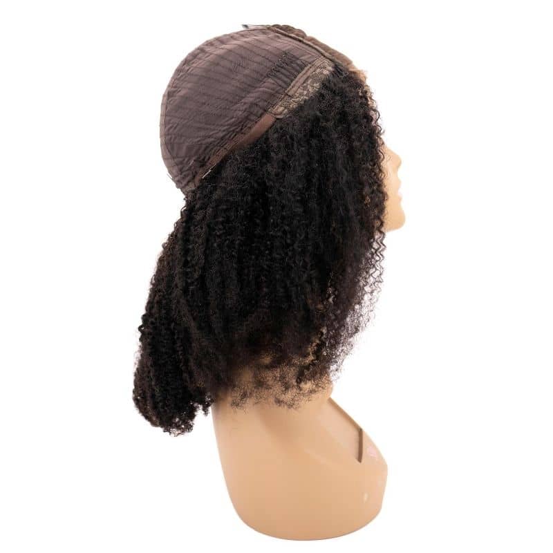 Afro Kinky 4x4 Transparent Closure Wig - HalleBeauty