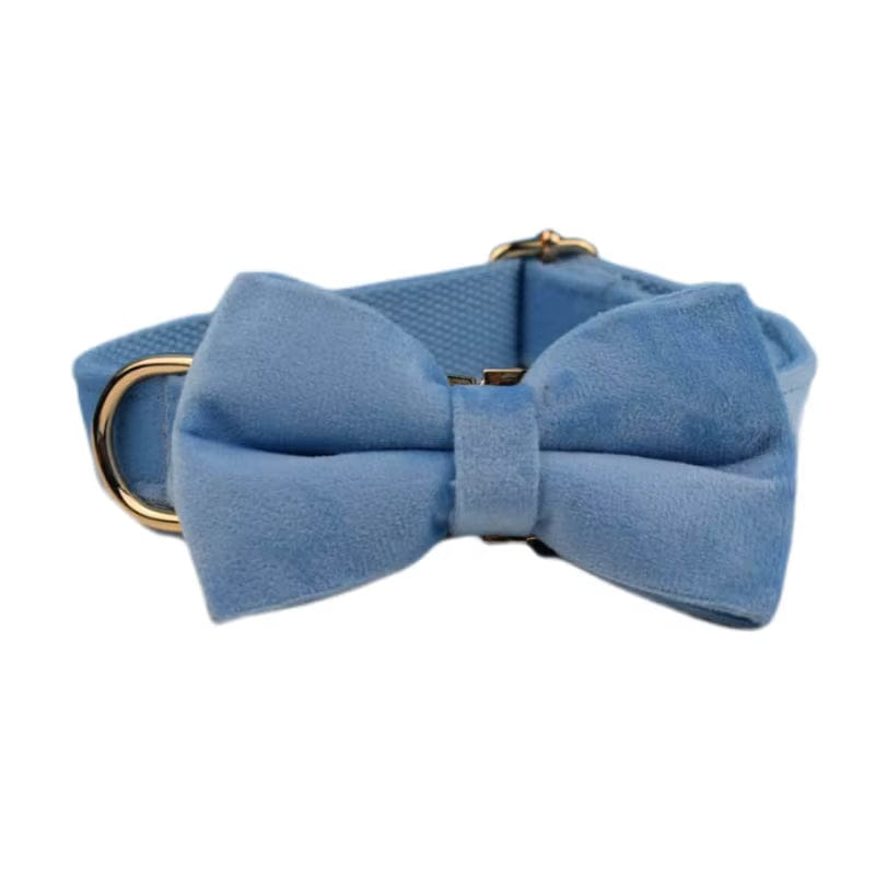 Blue Velvet Set