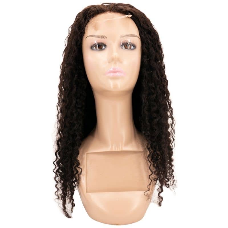 Kinky Curly 4x4 Transparent Closure Wig - HalleBeauty