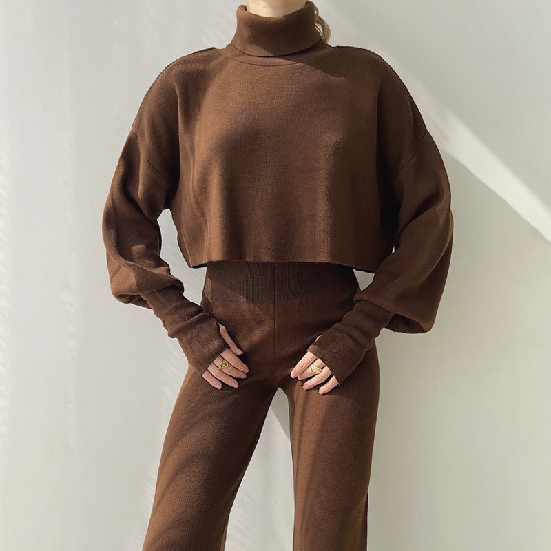 Turtleneck Loose Long Sleeve Top Female Casual Fashion Set - HalleBeauty